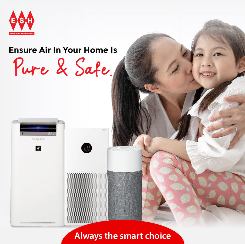 Ensure Air in Your Home is Pure & Safe