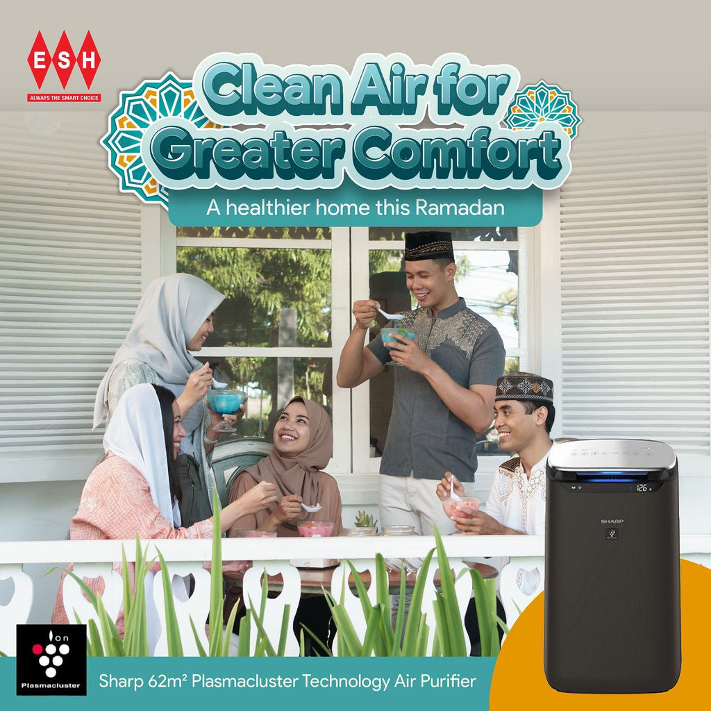 Clean Air for Greater Comfort