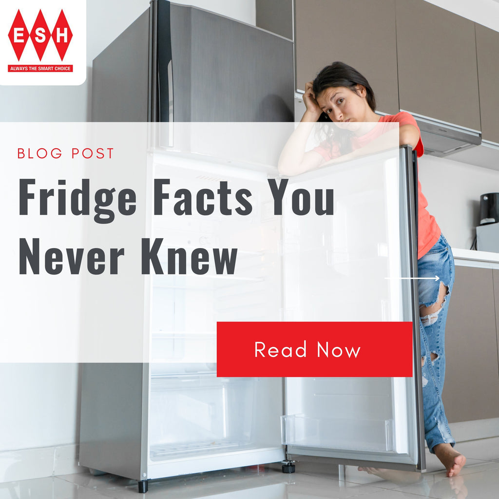 Fridge Facts You Never Knew