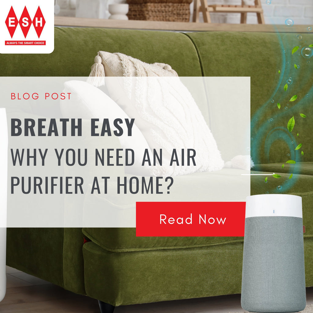 Breathe Easy: Why You Need an Air Purifier at Home