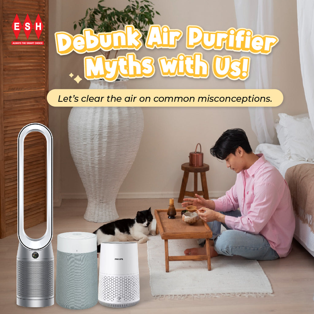 Air Purifier Myth