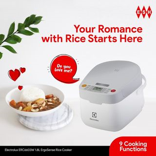 Your romance with rice starts here