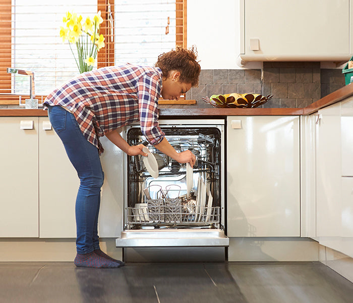 Dish Washer/Dryer