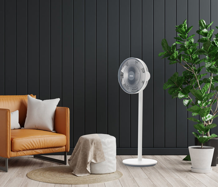 Stand Fan