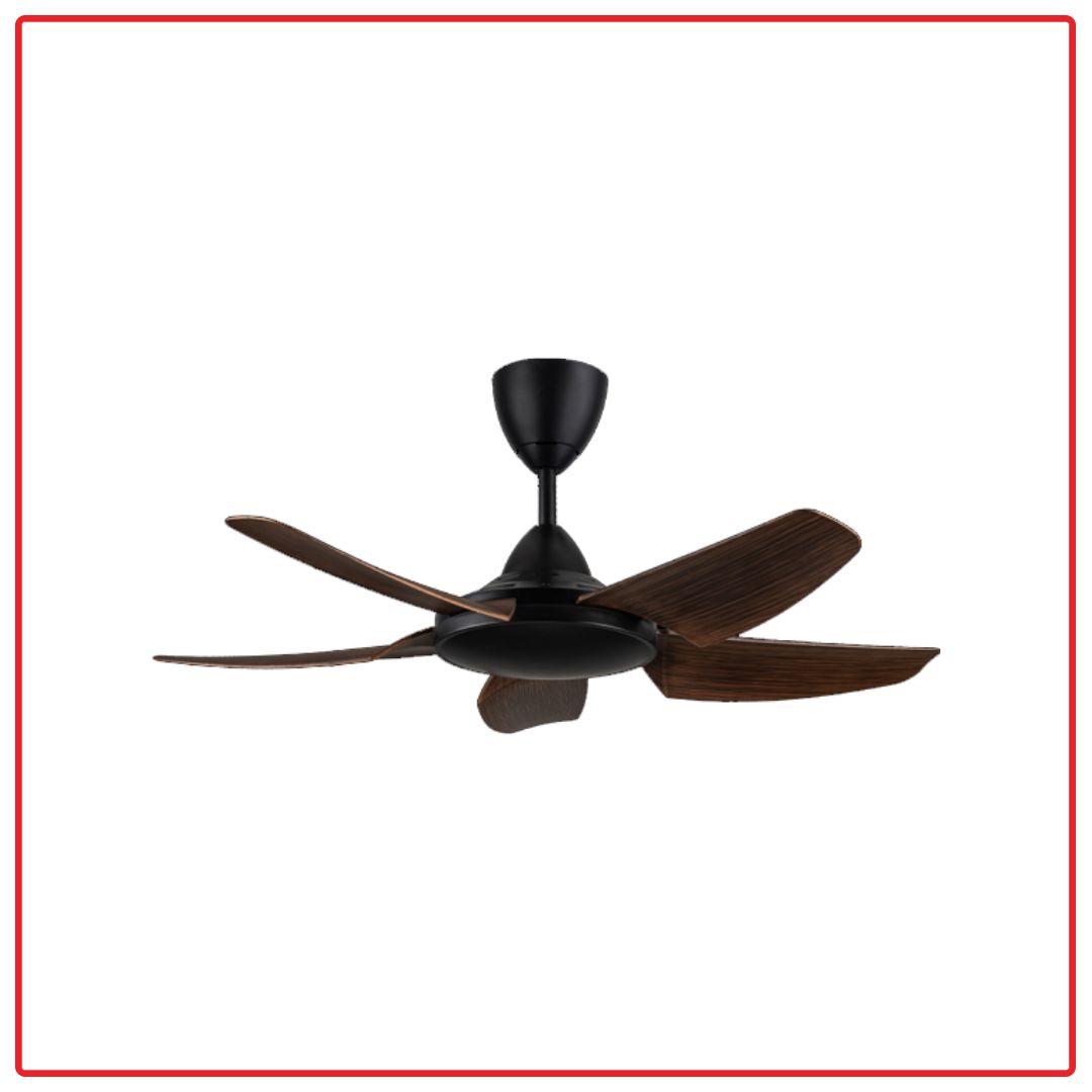 Alpha AX666(DC) 5B/40 40 Inch 5 Blades Ceiling Fan (Walnut) | ESH – ESH ...