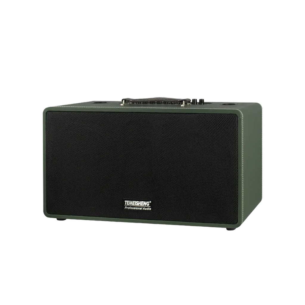 Temeisheng TMS-8018 Dual 8