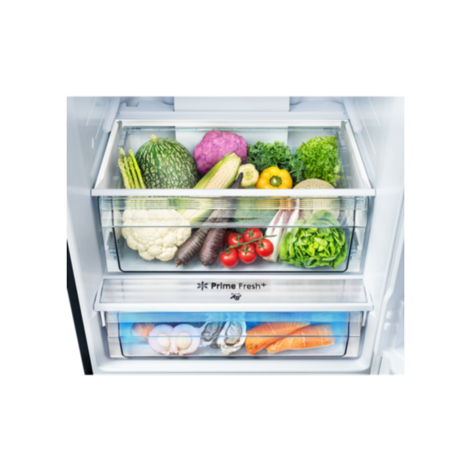 Panasonic NR-BX421WGWM 380L 2-door Bottom Freezer Refrigerator